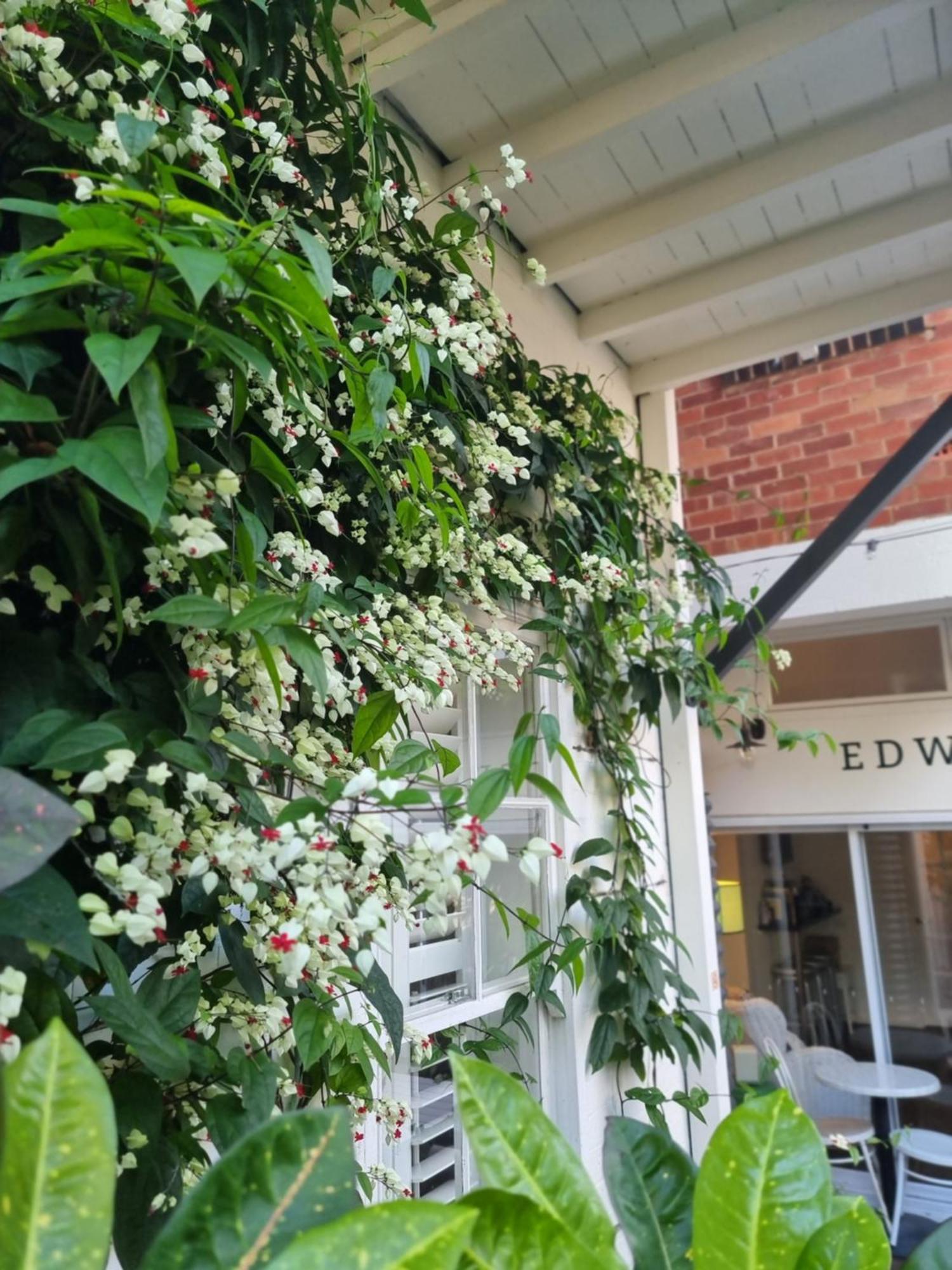 Edward Lodge New Fam Brisbane Eksteriør bilde